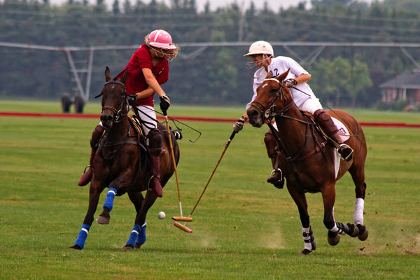 Polo match